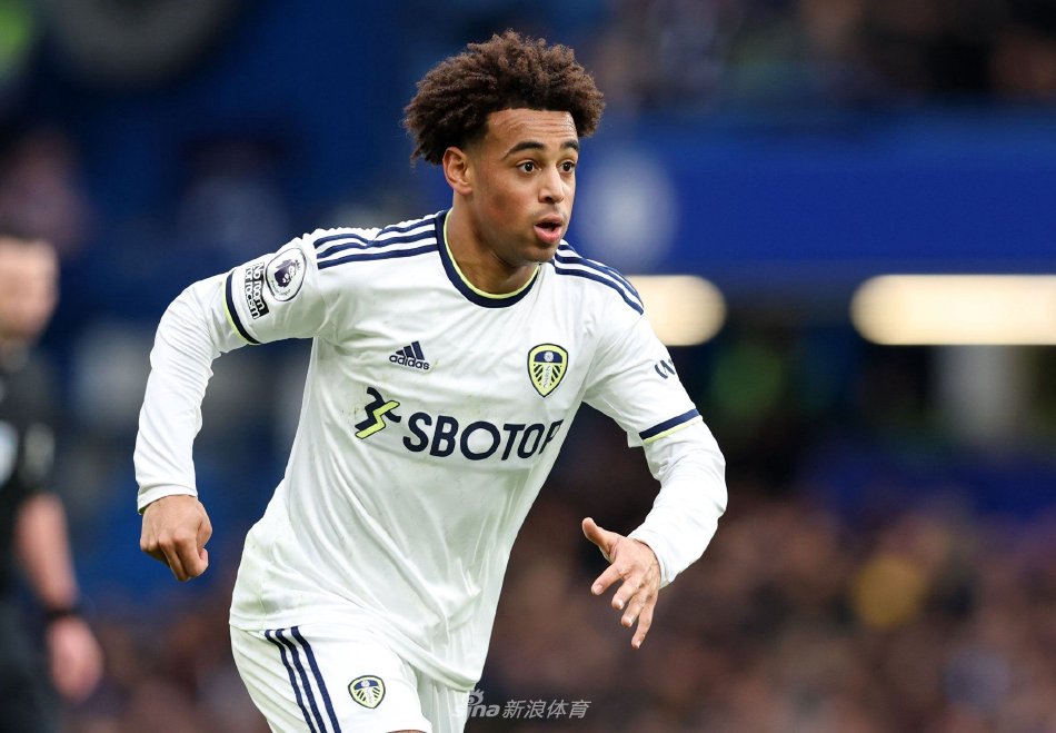 斯图亚尼在 斯图亚尼在